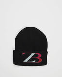 Zasberry Logo ZB Beanie Hoodie In Black