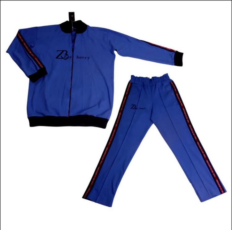 Zasberry Men Blue Tracksuit