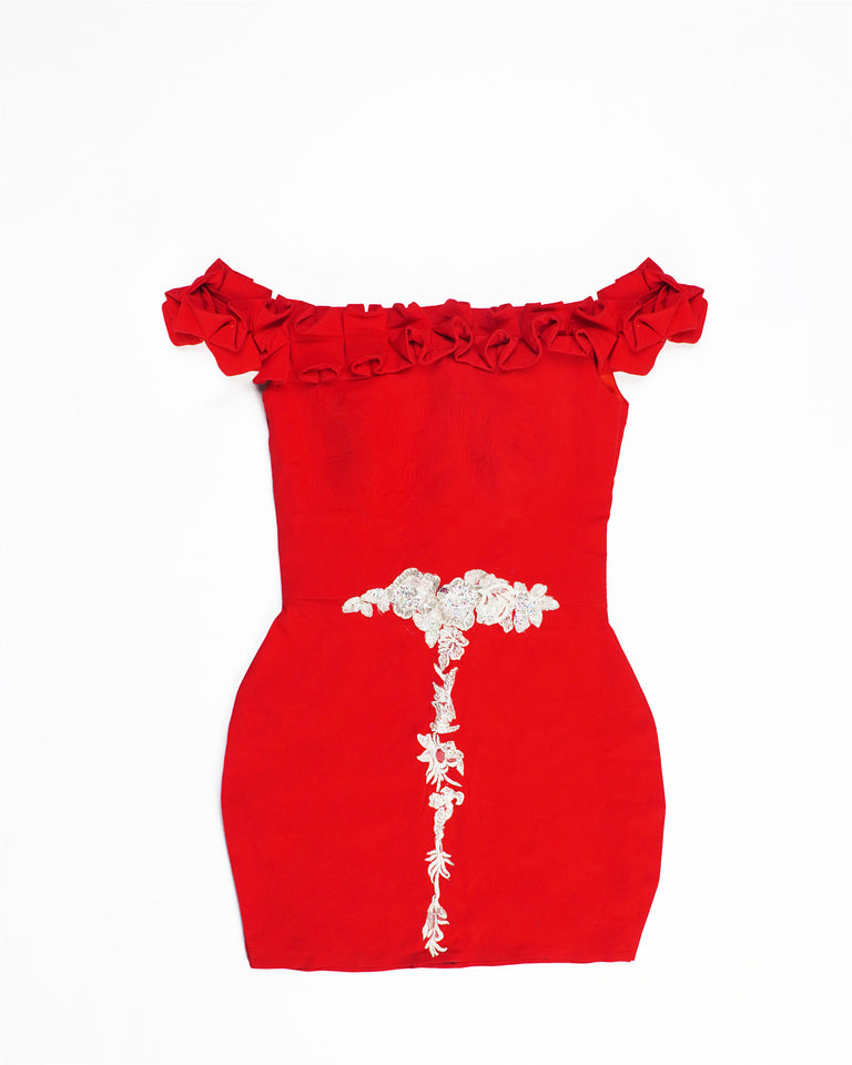 Zasberry Red Rose Flower Dress